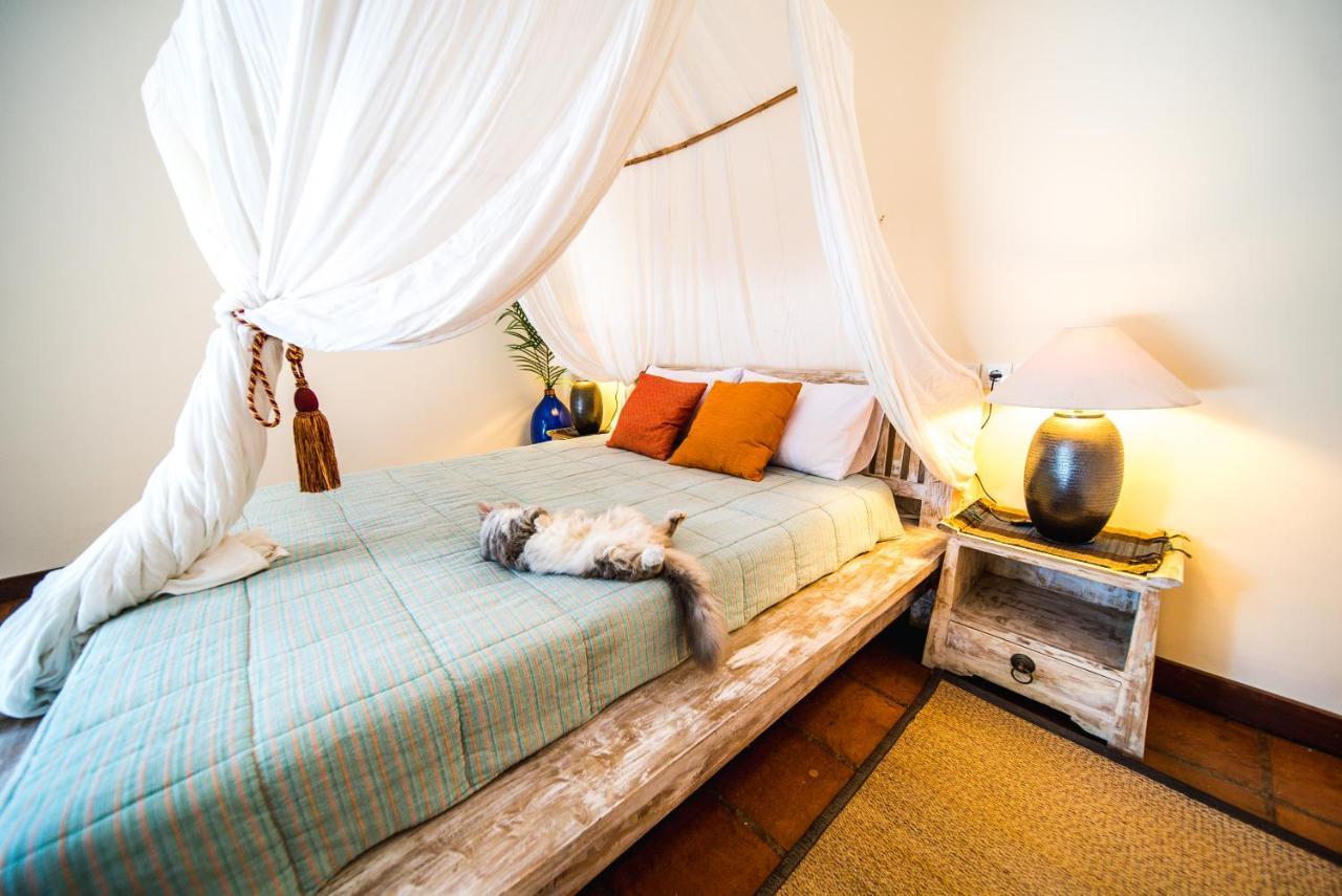 Villa Elang Canggu Zewnętrze zdjęcie